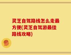 灵芝自驾路线怎么走最方便(灵芝自驾游最佳路线攻略)
