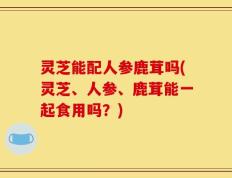 灵芝能配人参鹿茸吗(灵芝、人参、鹿茸能一起食用吗？)