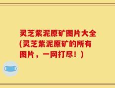 灵芝紫泥原矿图片大全(灵芝紫泥原矿的所有图片，一网打尽！)