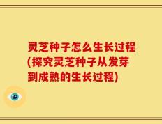 灵芝种子怎么生长过程(探究灵芝种子从发芽到成熟的生长过程)