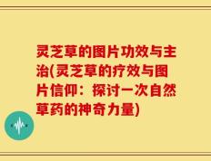 灵芝草的图片功效与主治(灵芝草的疗效与图片信仰：探讨一次自然草药的神奇力量)