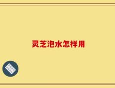 灵芝泡水怎样用
