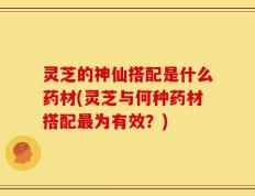 灵芝的神仙搭配是什么药材(灵芝与何种药材搭配最为有效？)