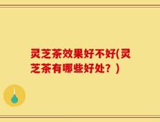 灵芝茶效果好不好(灵芝茶有哪些好处？)