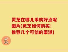 灵芝在哪儿采购好点呢图片(灵芝如何购买：推荐几个可信的渠道)