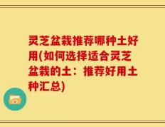 灵芝盆栽推荐哪种土好用(如何选择适合灵芝盆栽的土：推荐好用土种汇总)
