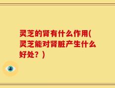 灵芝的肾有什么作用(灵芝能对肾脏产生什么好处？)