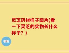 灵芝药材样子图片(看一下灵芝的实物长什么样子？)