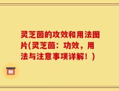 灵芝茵的攻效和用法图片(灵芝茵：功效，用法与注意事项详解！)