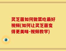 灵芝菌如何做菜吃最好视频(如何让灵芝菌变得更美味-视频教学)