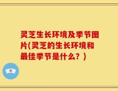 灵芝生长环境及季节图片(灵芝的生长环境和最佳季节是什么？)
