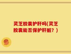 灵芝胶囊护肝吗(灵芝胶囊能否保护肝脏？)