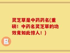 灵芝草是中药药名(重磅！中药名灵芝草的功效竟如此惊人！)