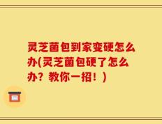 灵芝菌包到家变硬怎么办(灵芝菌包硬了怎么办？教你一招！)