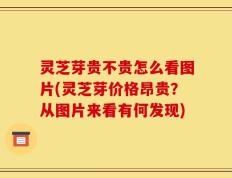 灵芝芽贵不贵怎么看图片(灵芝芽价格昂贵？从图片来看有何发现)