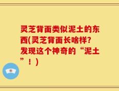灵芝背面类似泥土的东西(灵芝背面长啥样？发现这个神奇的“泥土”！)