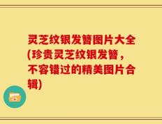 灵芝纹银发簪图片大全(珍贵灵芝纹银发簪，不容错过的精美图片合辑)