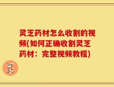灵芝药材怎么收割的视频(如何正确收割灵芝药材：完整视频教程)