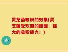 灵芝菌吸粉的效果(灵芝菌受欢迎的原因：强大的吸粉能力！)