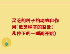 灵芝的种子的功效和作用(灵芝种子的益处：从种下的一瞬间开始)