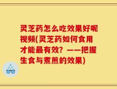 灵芝药怎么吃效果好呢视频(灵芝药如何食用才能最有效？——把握生食与煮煎的效果)