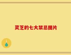 灵芝的七大禁忌图片
