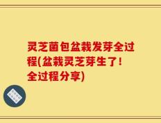 灵芝菌包盆栽发芽全过程(盆栽灵芝芽生了！全过程分享)
