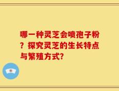 哪一种灵芝会喷孢子粉？探究灵芝的生长特点与繁殖方式？