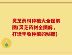 灵芝药材种植大全图解图(灵芝药材全图解，打造丰收种植的秘籍)