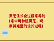 灵芝生长全过程家养的(家中可种植灵芝，观察其完整的生长过程)