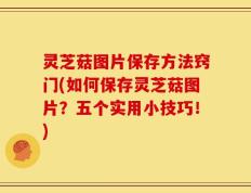 灵芝菇图片保存方法窍门(如何保存灵芝菇图片？五个实用小技巧！)