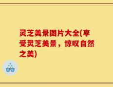 灵芝美景图片大全(享受灵芝美景，惊叹自然之美)