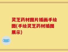 灵芝药材图片插画手绘图(手绘灵芝药材插图展示)