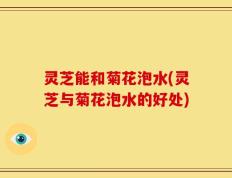 灵芝能和菊花泡水(灵芝与菊花泡水的好处)
