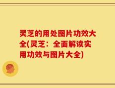 灵芝的用处图片功效大全(灵芝：全面解读实用功效与图片大全)