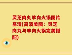 灵芝肉丸羊肉火锅图片高清(高清美图：灵芝肉丸与羊肉火锅完美搭配)