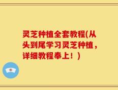 灵芝种植全套教程(从头到尾学习灵芝种植，详细教程奉上！)