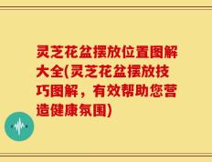 灵芝花盆摆放位置图解大全(灵芝花盆摆放技巧图解，有效帮助您营造健康氛围)