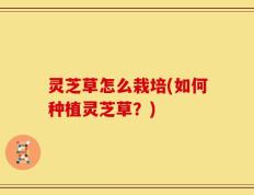 灵芝草怎么栽培(如何种植灵芝草？)