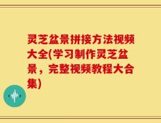 灵芝盆景拼接方法视频大全(学习制作灵芝盆景，完整视频教程大合集)