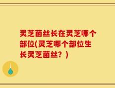 灵芝菌丝长在灵芝哪个部位(灵芝哪个部位生长灵芝菌丝？)