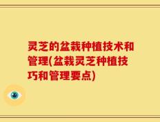 灵芝的盆栽种植技术和管理(盆栽灵芝种植技巧和管理要点)