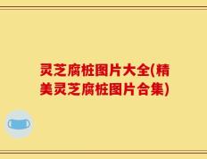 灵芝腐桩图片大全(精美灵芝腐桩图片合集)