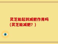 灵芝能起到减肥作用吗(灵芝能减肥？)