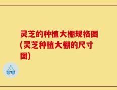 灵芝的种植大棚规格图(灵芝种植大棚的尺寸图)