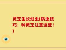 灵芝生长蛀虫(防虫技巧：种灵芝注意这些！)