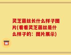 灵芝菌丝长什么样子图片(看看灵芝菌丝是什么样子的：图片展示)