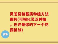 灵芝袋装基质种植方法图片(可视化灵芝种植，也许是你的下一个花园挑战)