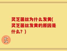 灵芝菌丝为什么发黄(灵芝菌丝发黄的原因是什么？)
