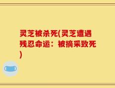 灵芝被杀死(灵芝遭遇残忍命运：被摘采致死)